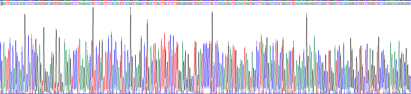 Recombinant Lactoperoxidase (LPO)
