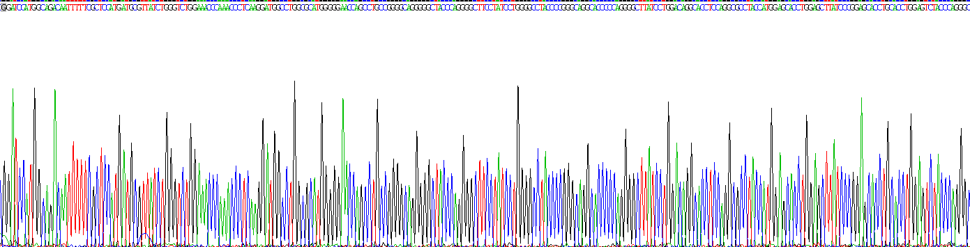 Recombinant Galectin 3 (GAL3)