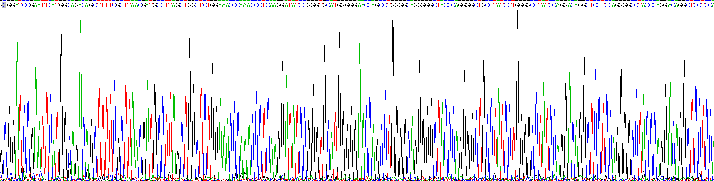 Recombinant Galectin 3 (GAL3)