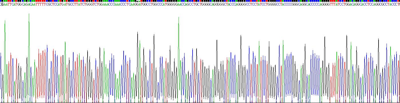 Recombinant Galectin 3 (GAL3)