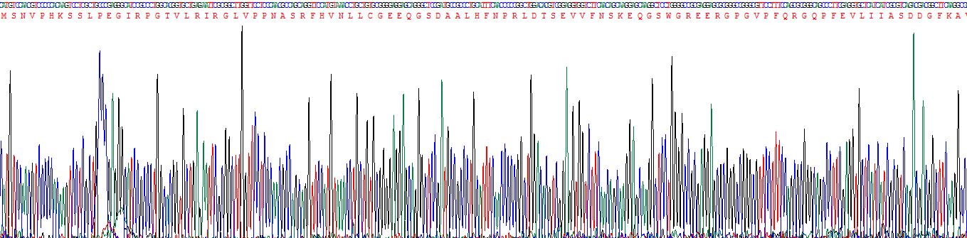 Recombinant Galectin 7 (GAL7)