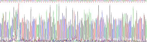 Recombinant Apolipoprotein H (APOH)