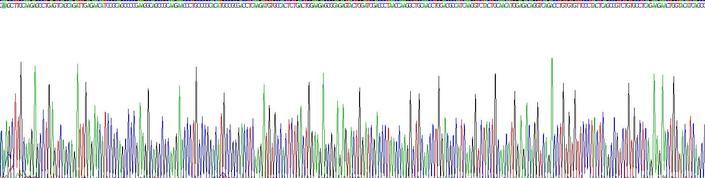 Recombinant Collagen Type I Alpha 1 (COL1a1)