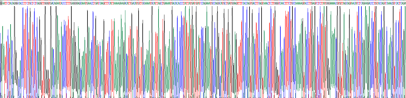 Recombinant Vasoactive Intestinal Peptide (VIP)