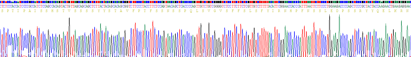 Recombinant Mucin 1 (MUC1)