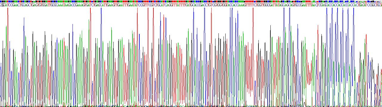 Recombinant Synaptophysin (SYP)