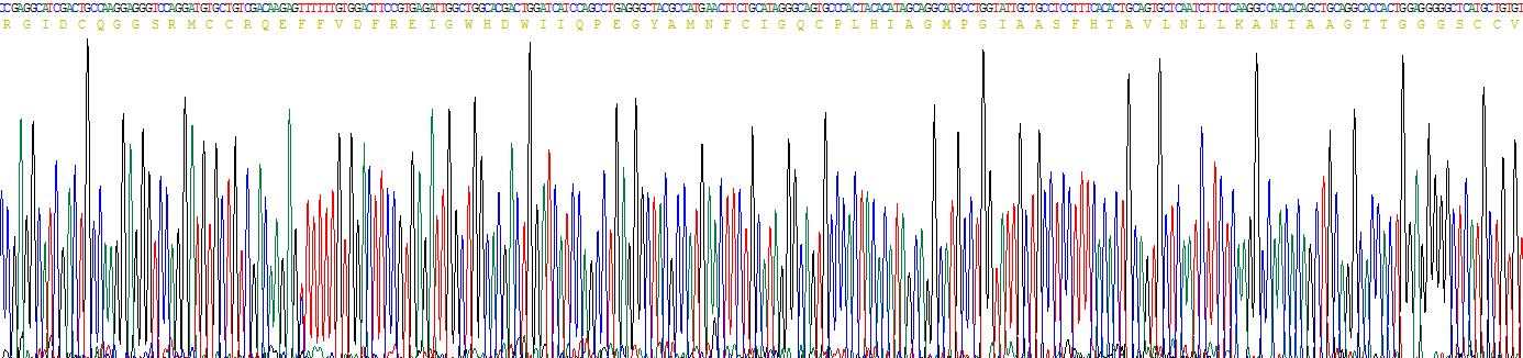 Recombinant Inhibin Beta C (INHbC)