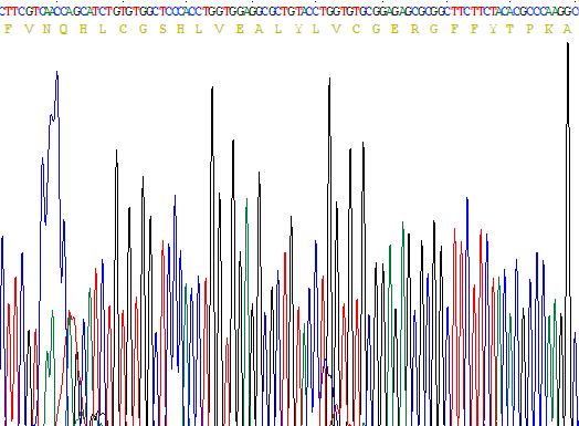 Recombinant Insulin (INS)