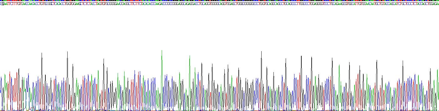 Recombinant Insulin (INS)