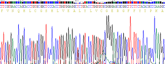 Recombinant Insulin (INS)