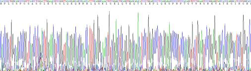 Recombinant N-Terminal Pro-Brain Natriuretic Peptide (NT-ProBNP)