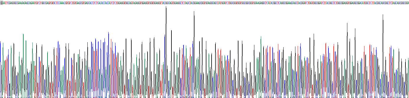 Recombinant Cytokeratin 1 (CK1)