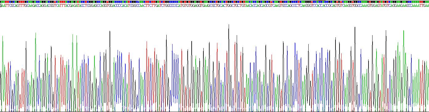Recombinant Platelet Derived Growth Factor Subunit A (PDGFA)