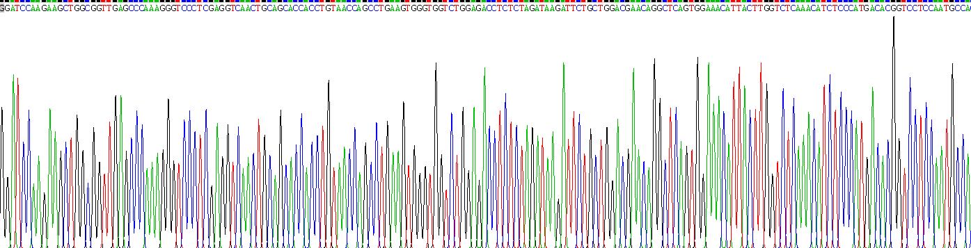 Recombinant Intercellular Adhesion Molecule 2 (ICAM2)