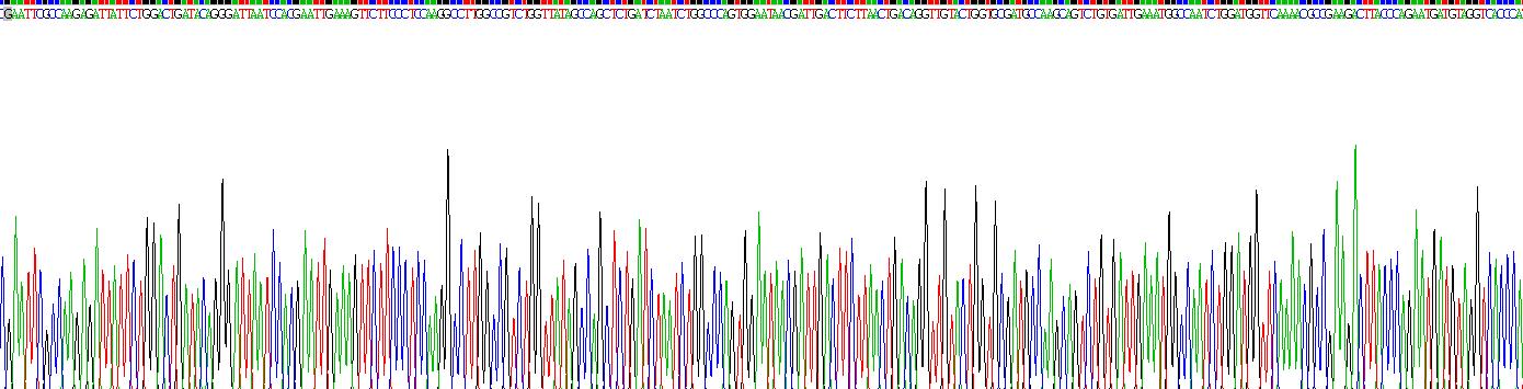 Recombinant Epidermal Growth Factor (EGF)