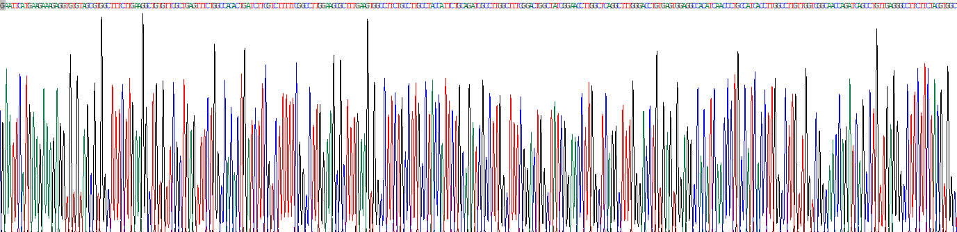 Recombinant Aquaporin 5 (AQP5)