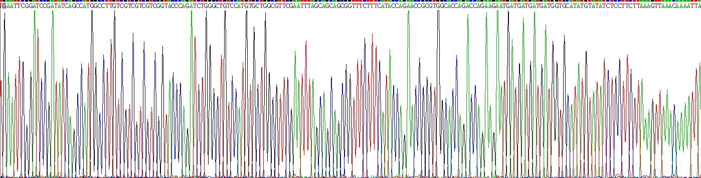 Recombinant Somatostatin (SST)