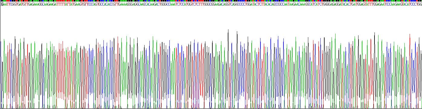 Recombinant Cytochrome C (CYCS)