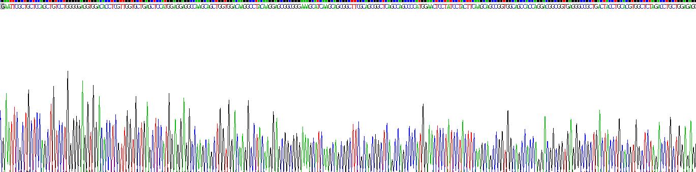Recombinant Myeloperoxidase (MPO)