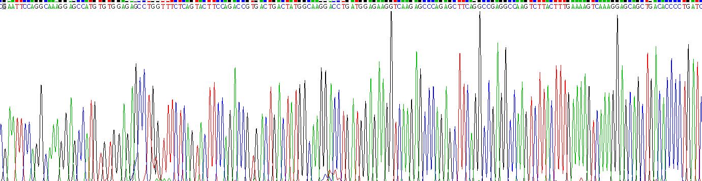 Recombinant Apolipoprotein A2 (APOA2)