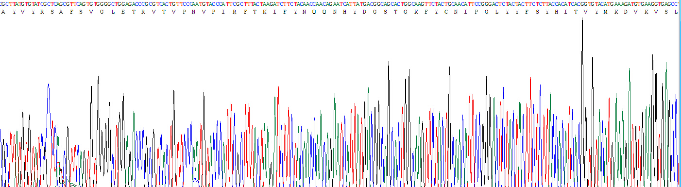 Recombinant Adiponectin (ADPN)