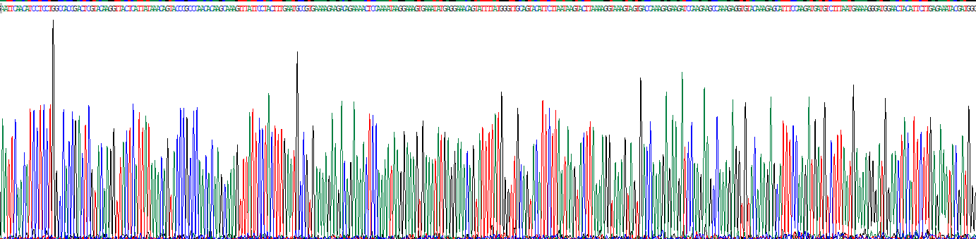 Recombinant Visfatin (VF)