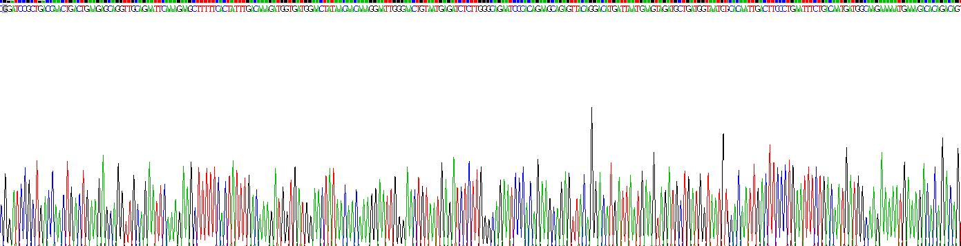 Recombinant Calmodulin (CAM)