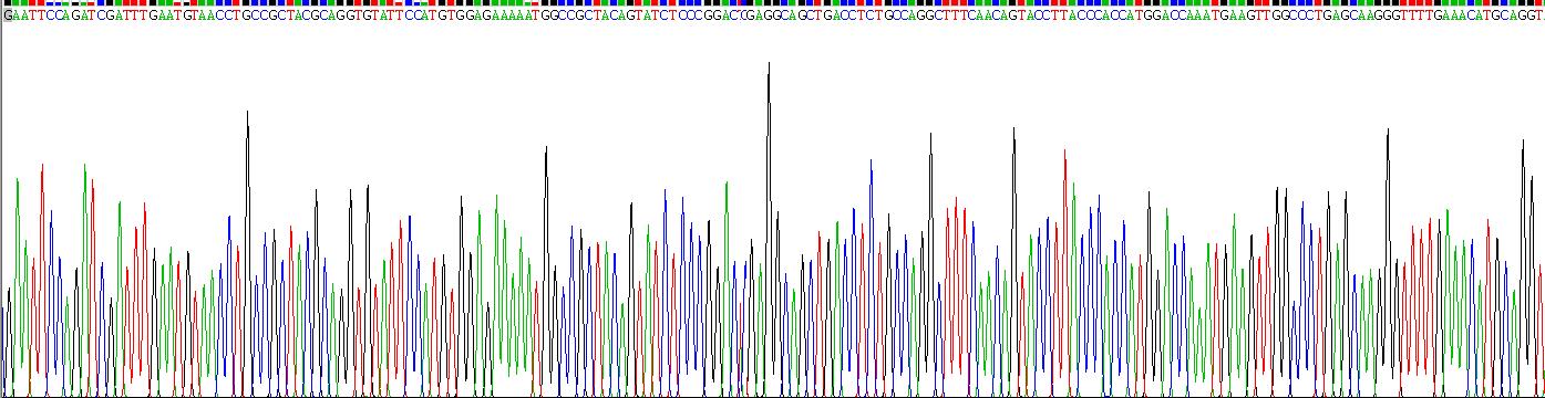 Recombinant Homing Associated Cell Adhesion Molecule (HCAM)