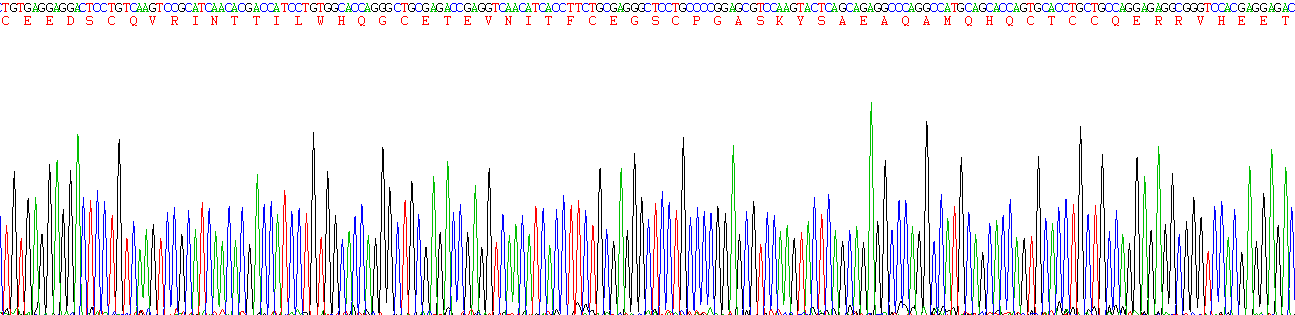 Recombinant Mucin 5 Subtype B (MUC5B)