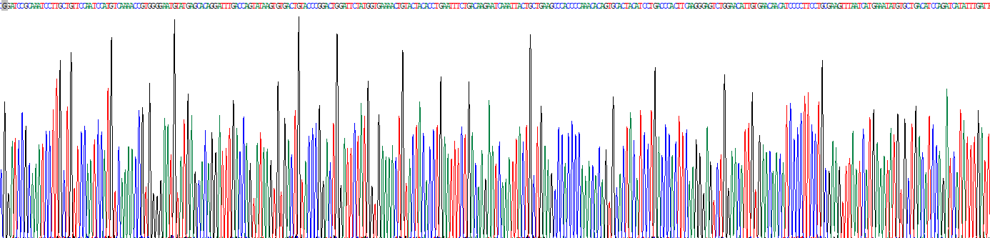 Recombinant Cyclooxygenase-2 (COX 2)