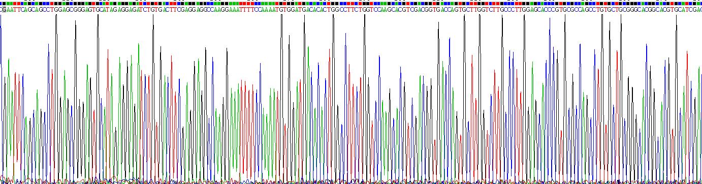 Recombinant Protein C (PROC)