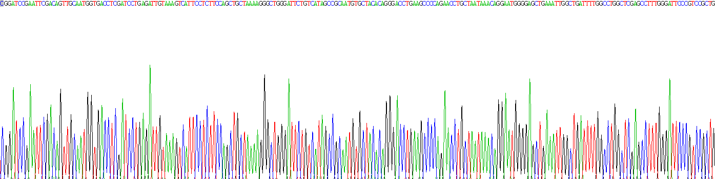 Recombinant Cyclin Dependent Kinase 5 (CDK5)