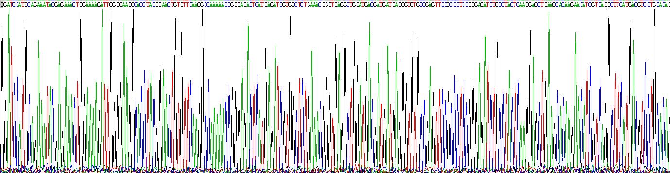 Recombinant Cyclin Dependent Kinase 5 (CDK5)