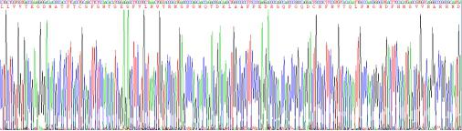 Recombinant Programmed Cell Death Protein 1 (PD1)