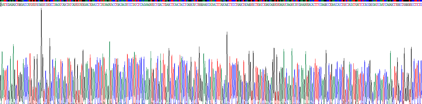 Recombinant Toll Like Receptor 4 (TLR4)