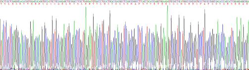 Recombinant Mucin 5 Subtype AC (MUC5AC)