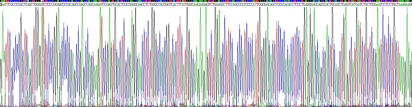 Recombinant Neuromedin B (NMB)