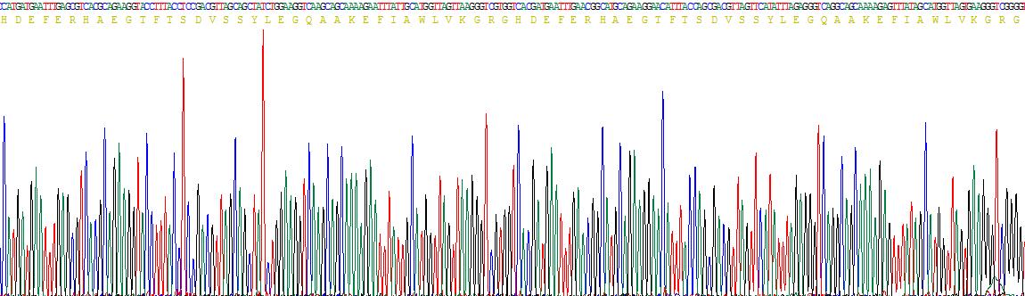 Recombinant Glucagon Like Peptide 1 (GLP1)