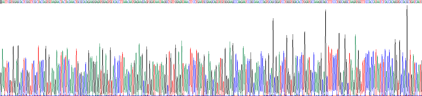 Recombinant Haptoglobin (Hpt)