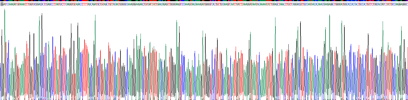 Recombinant Heat Shock Protein 60 (Hsp60)