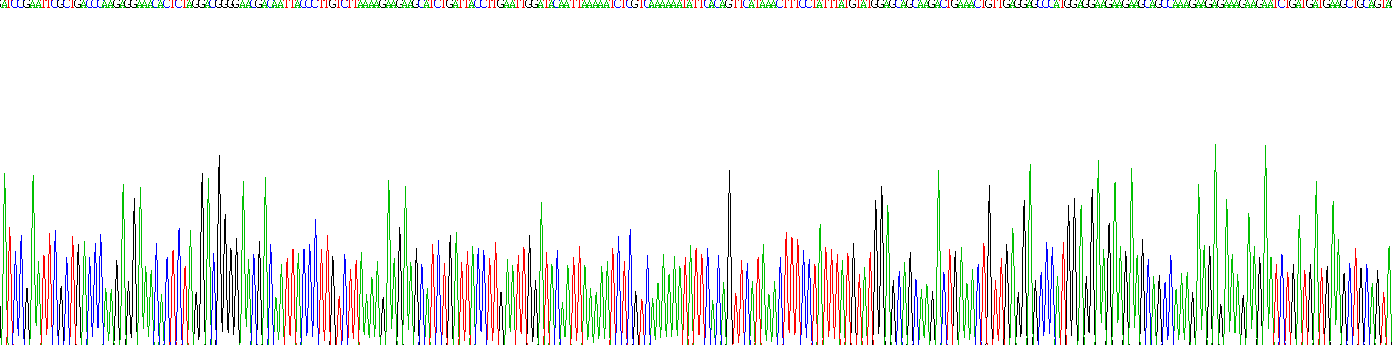 Recombinant Heat Shock Protein 90kDa Beta 1 (HSP90b1)