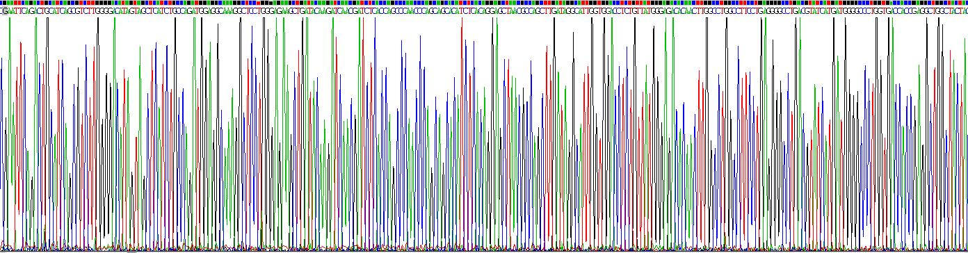 Recombinant Tumor Necrosis Factor Ligand Superfamily, Member 14 (TNFSF14)