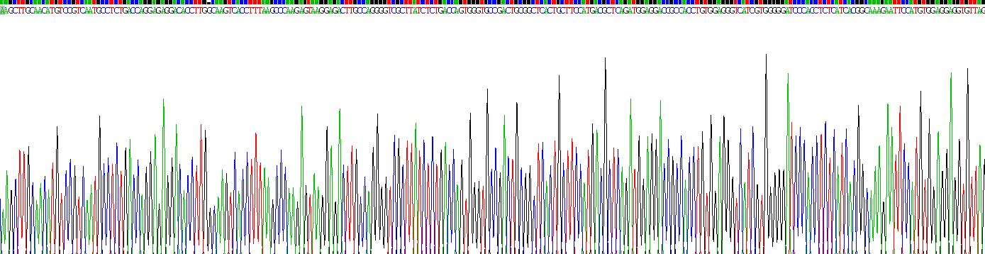 Recombinant Complement Component 2 (C2)