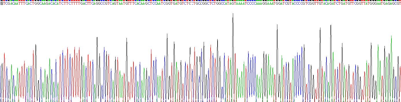 Recombinant Phospholipase A2 Group VII (LpPLA2)