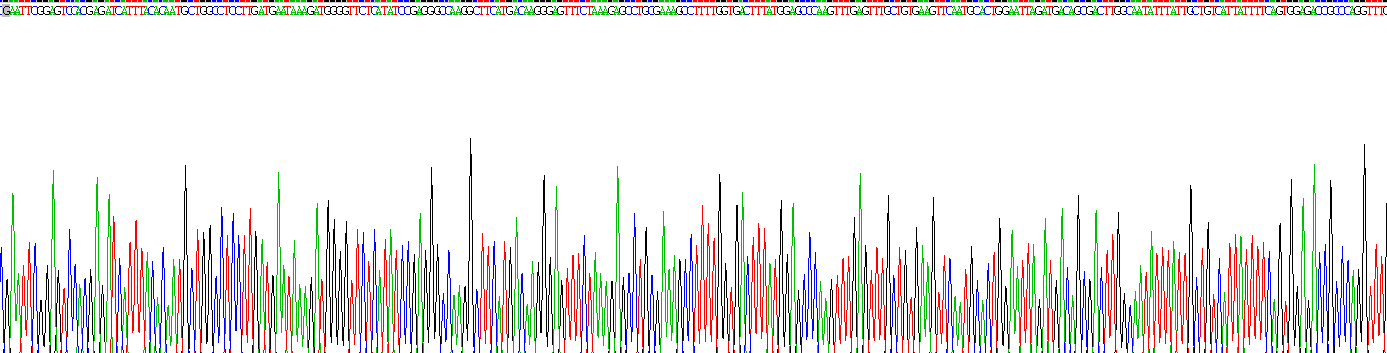 Recombinant Peroxisome Proliferator Activated Receptor Gamma (PPARg)