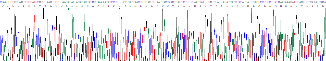 Recombinant Peroxisome Proliferator Activated Receptor Gamma (PPARg)