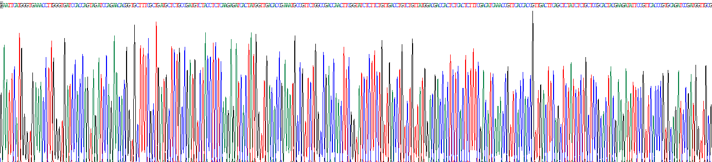 Recombinant Peroxisome Proliferator Activated Receptor Gamma (PPARg)