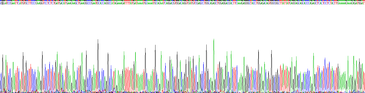 Recombinant Osteopontin (OPN)