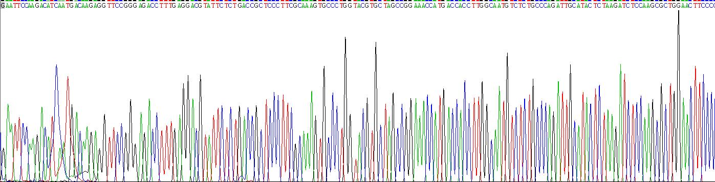 Recombinant Acid Phosphatase 5, Tartrate Resistant (ACP5)