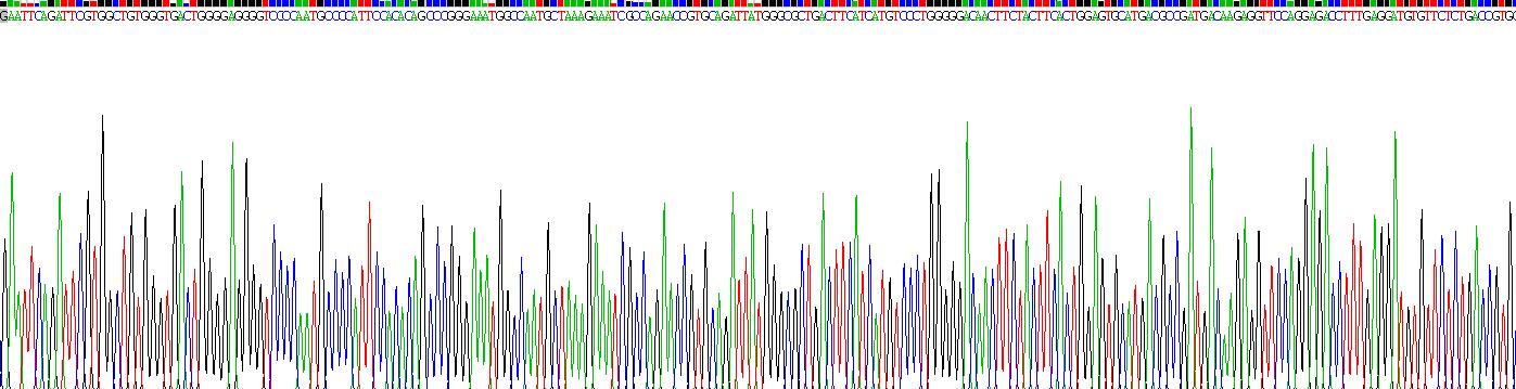 Recombinant Acid Phosphatase 5, Tartrate Resistant (ACP5)